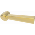 Polished Gold