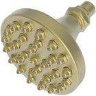 Satin Brass