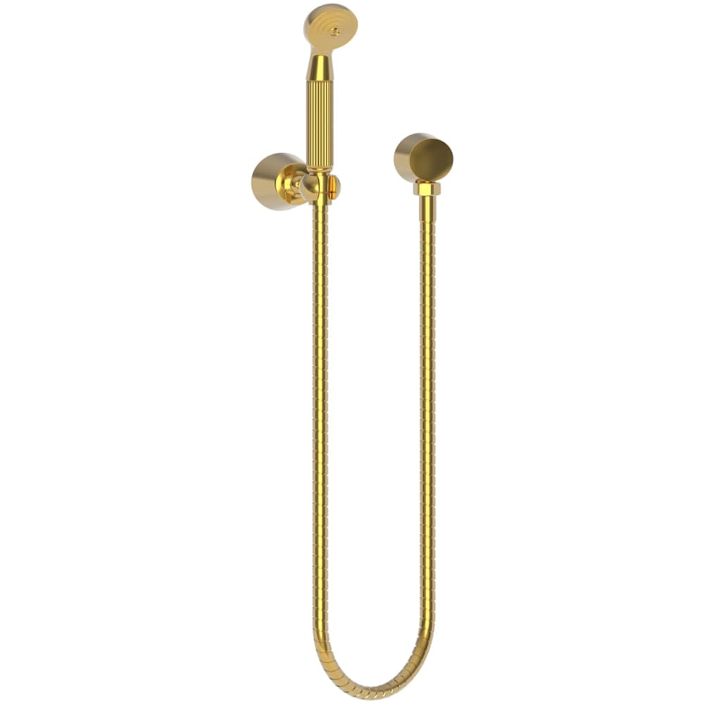 Single Function Wall Mount Handshower Kit