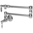 Polished Chrome