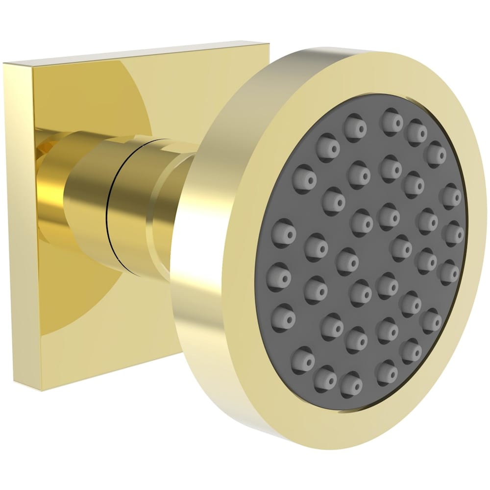 1.75 GPM Single Function Body Spray Trim