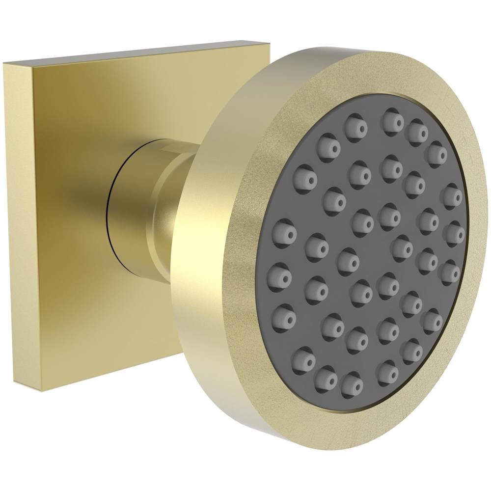 1.75 GPM Single Function Body Spray Trim