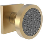Satin Bronze