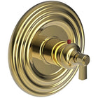 Polished Gold