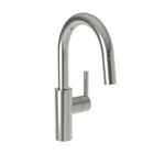 Polished Nickel