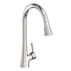 Polished Nickel