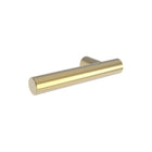 Polished Gold