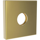Polished Gold