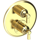 Uncoated Polished Brass