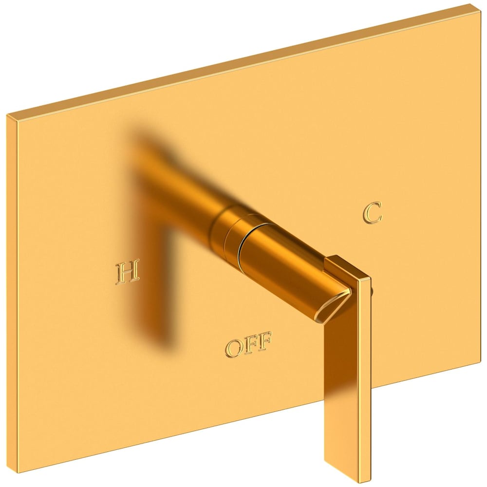 Metro Single Handle Balanced Pressure Trim Only with Metal Lever Handle