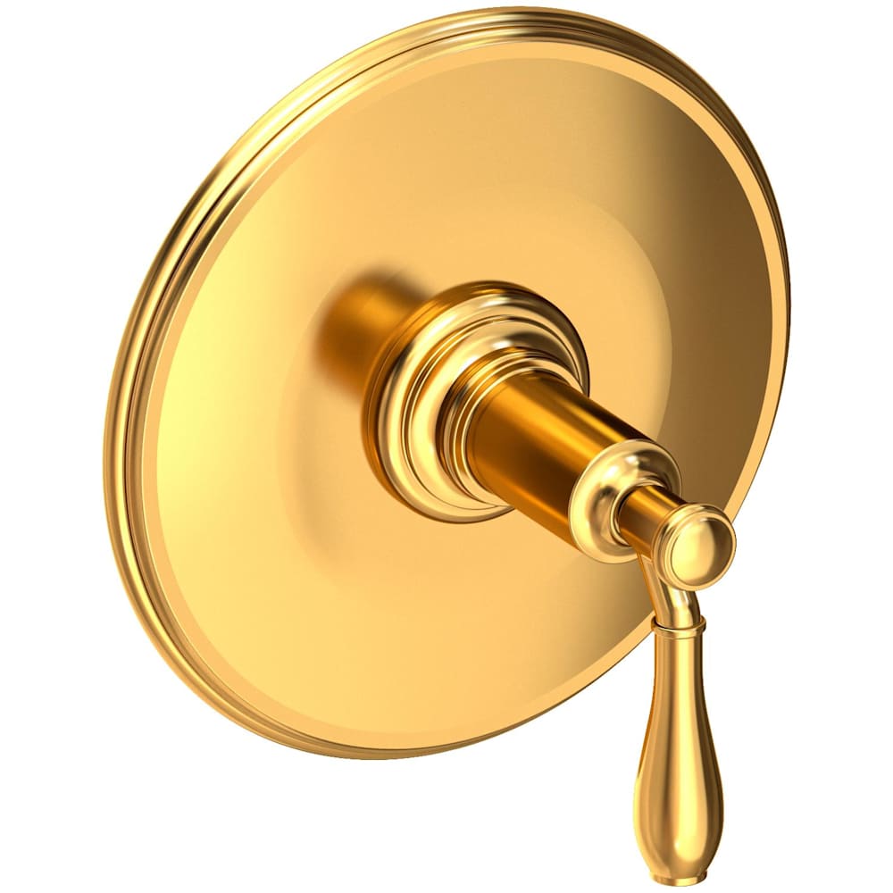 Ithaca Single Handle Balanced Pressure Trim Only with Metal Lever Handle