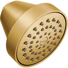 Brushed Gold
