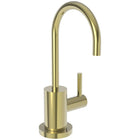 Uncoated Polished Brass