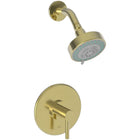 Uncoated Polished Brass