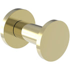 Uncoated Polished Brass