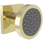 Uncoated Polished Brass