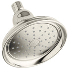 Vibrant Polished Nickel