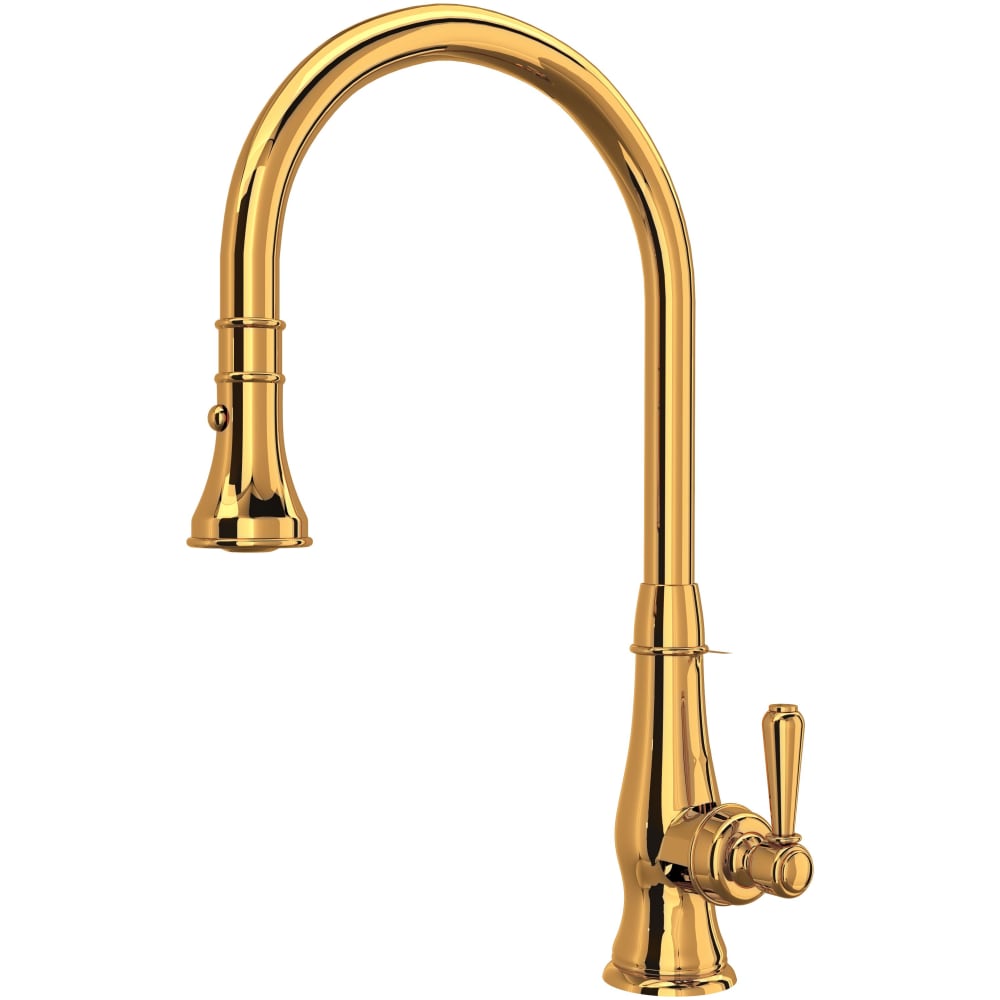 Patrizia 1.8 GPM Single Hole Pull Down Kitchen Faucet
