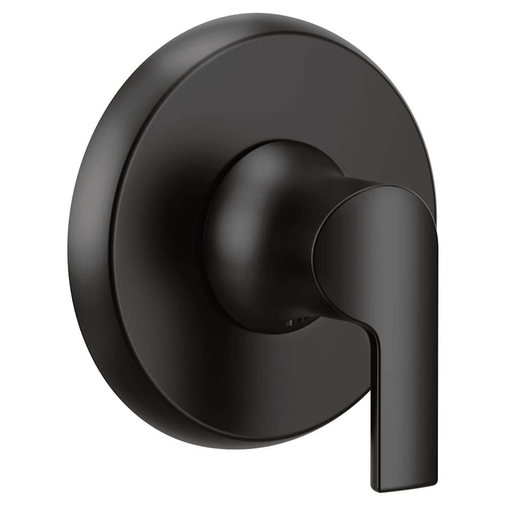 Moen Annex Shower Arm with 19" Slide Bar and 59" Handshower Hose Matte Black