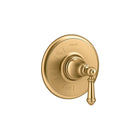 Vibrant Brushed Moderne Brass