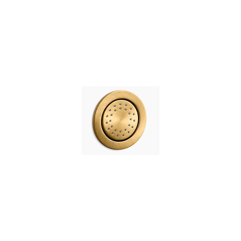 WaterTile 2 GPM Round Metal Body Spray with Katalyst Technology
