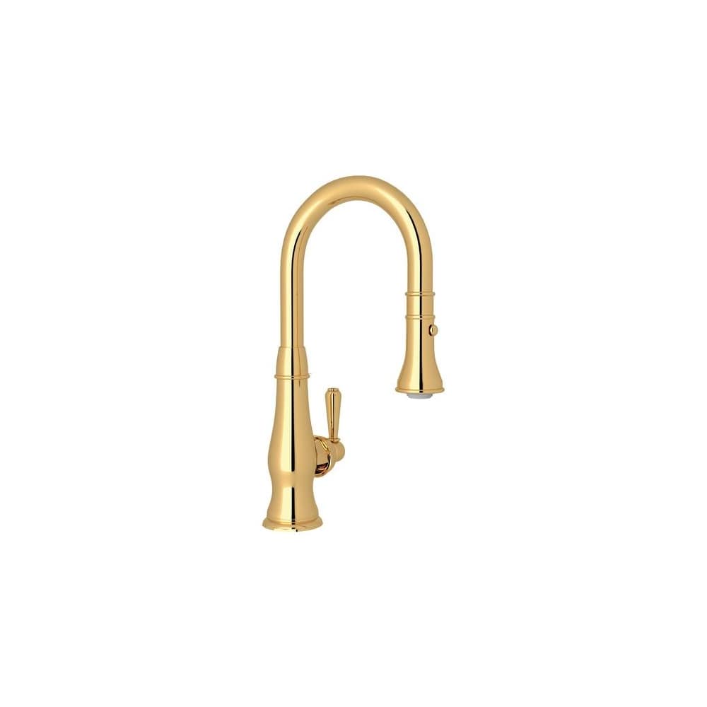 Patrizia 1.8 GPM Single Hole Pull Down Bar Faucet