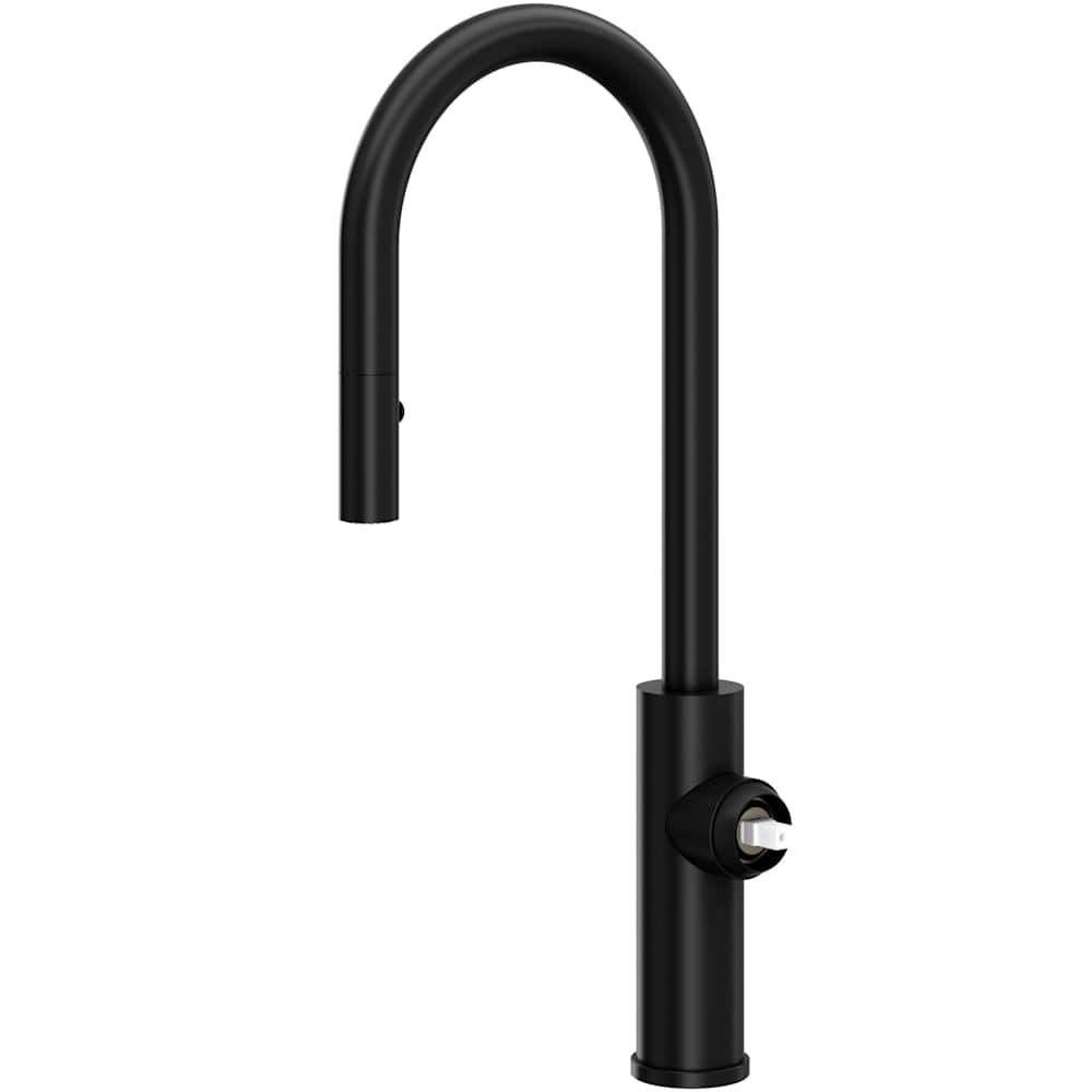 Eclissi 1.75 GPM Single Hole Pull Down Bar Faucet
