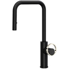 Matte Black / Polished Nickel 