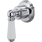 Polished Chrome