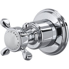 Polished Chrome