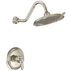 Polished Nickel