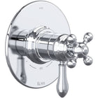 Polished Chrome