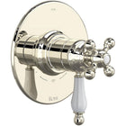 Polished Nickel