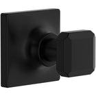 Matte Black