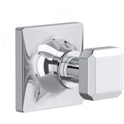 Polished Chrome