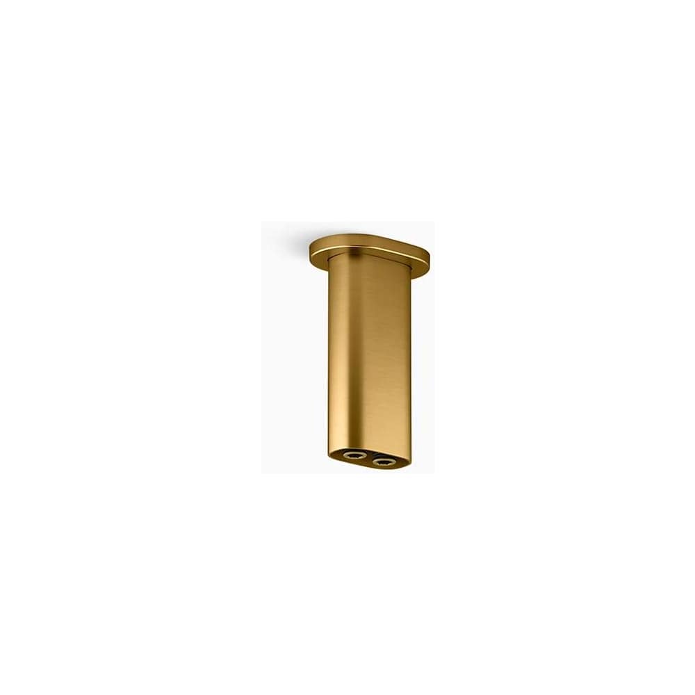 Statement 5" Ceiling-mount Two-Function Rainhead Arm and Flange
