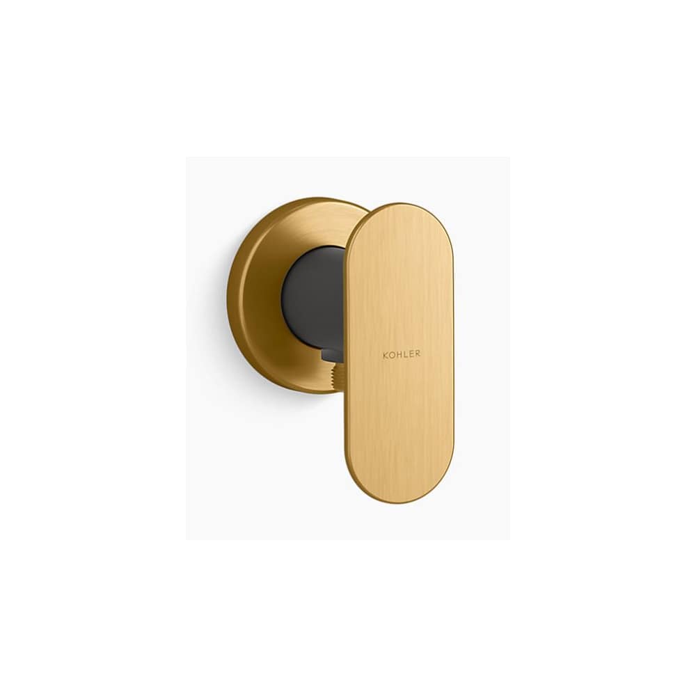 Statement Wall-Mount Handshower Holder with Supply Elbow and Check Valve