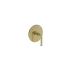 Uncoated Polished Brass