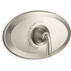 Vibrant Brushed Nickel