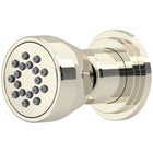 Polished Nickel