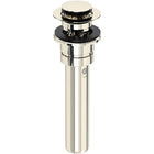 Polished Nickel