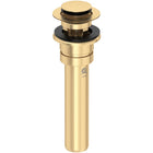 Satin English Gold