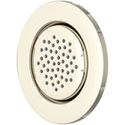 Polished Nickel