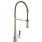 Polished Nickel