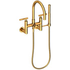 Polished Gold