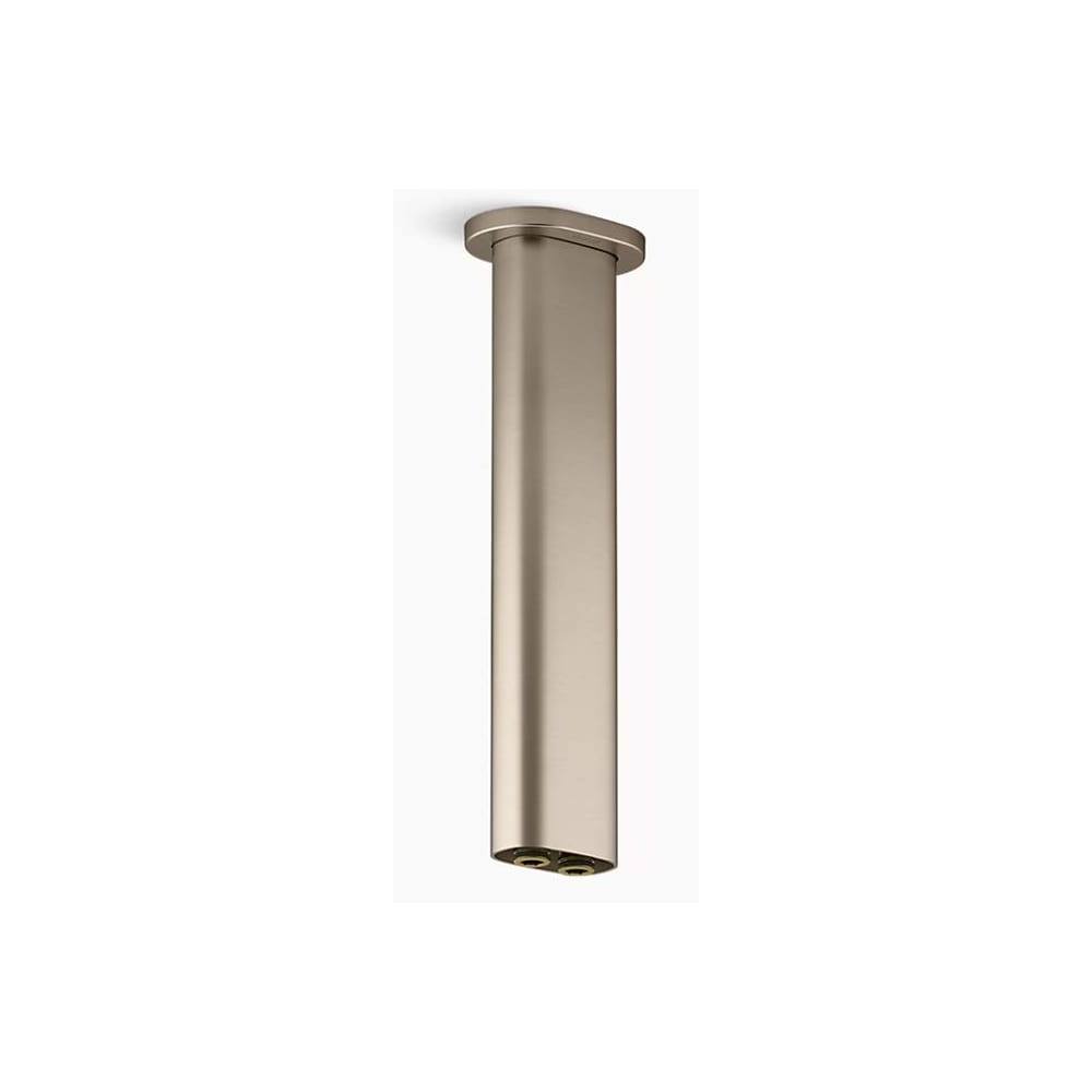 Statement 10" Ceiling Mounted Two Function Rainhead Arm and Flange