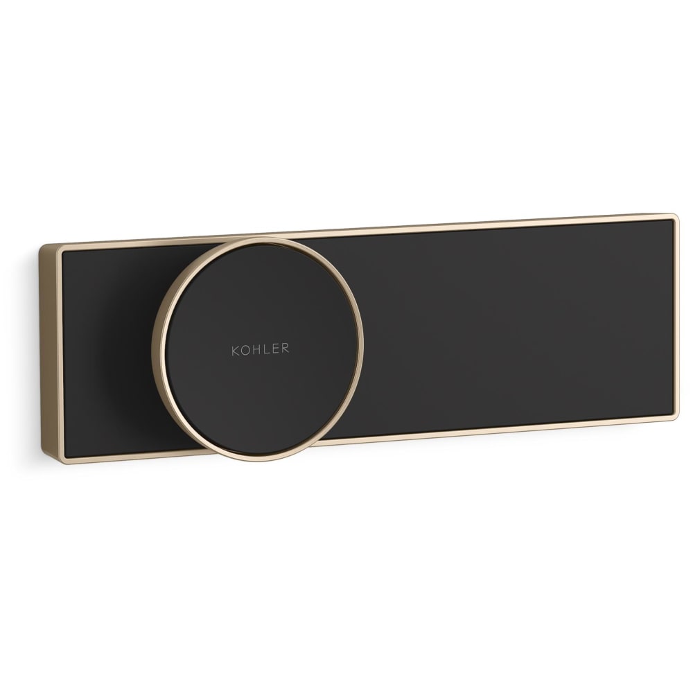 Anthem Programmable Digital Shower Controller