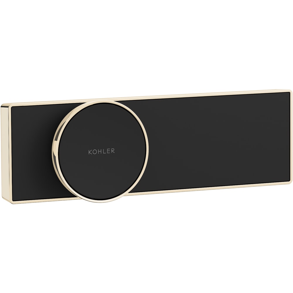 Anthem+ Programmable Digital Shower Controller