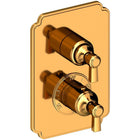 Polished Gold