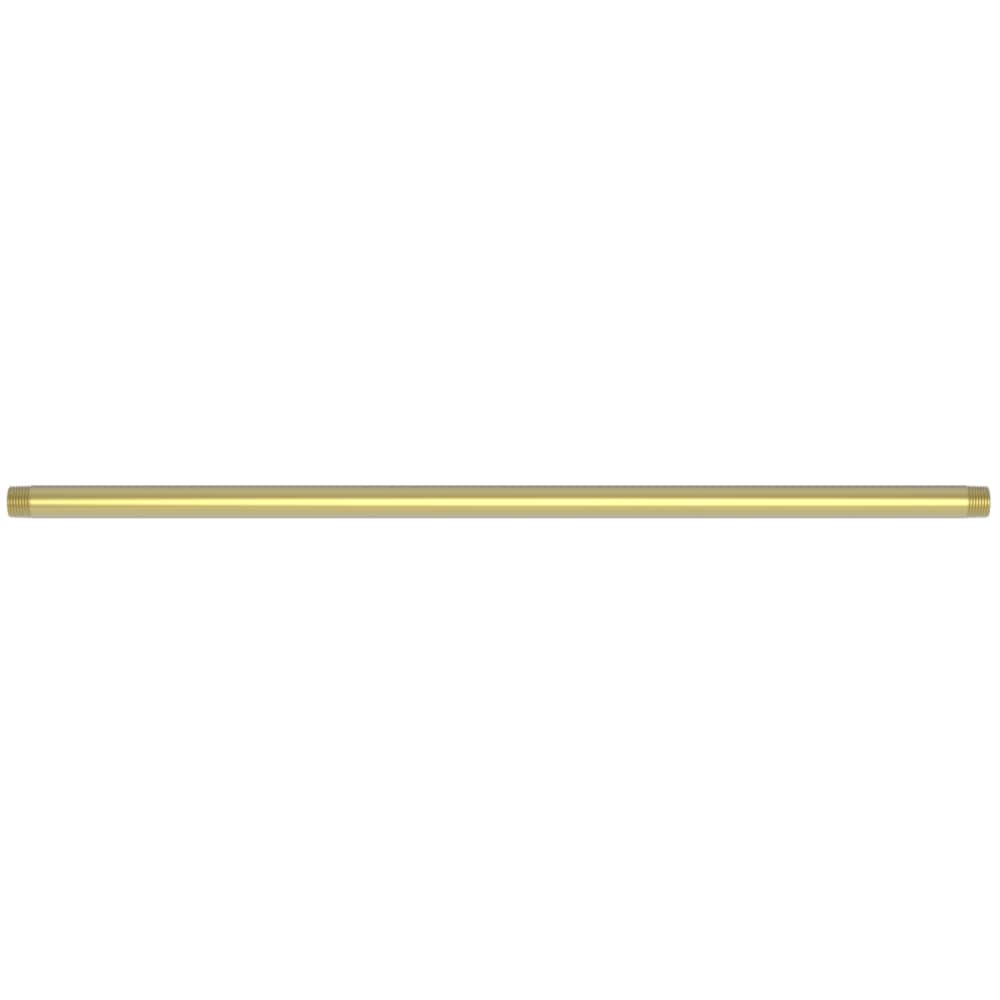 Tub and Shower 24" Ceiling Mounted Shower Arm
